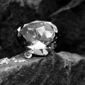 [220300000012881]브랜드-기본배너 대표이미지