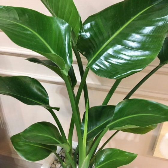 브랜드 매거진 바로가기